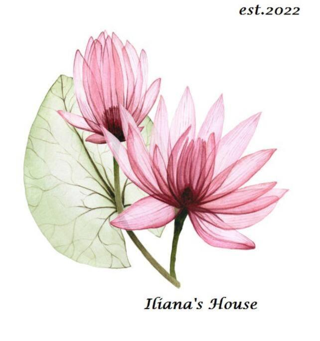 Iliana'S House Apartment Ziparion Exterior photo